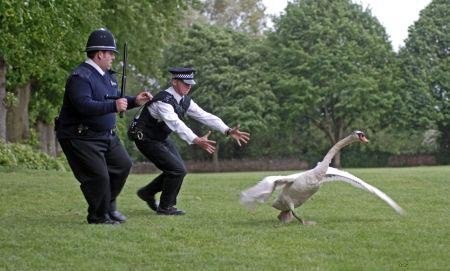 Hot Fuzz - Zwei abgewichste Profis Hot Fuzz - Zwei abgewichste Profis