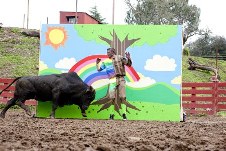 Jackass 3D Jackass 3D