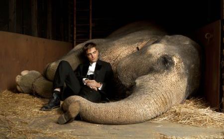 Wasser f�r die Elefanten